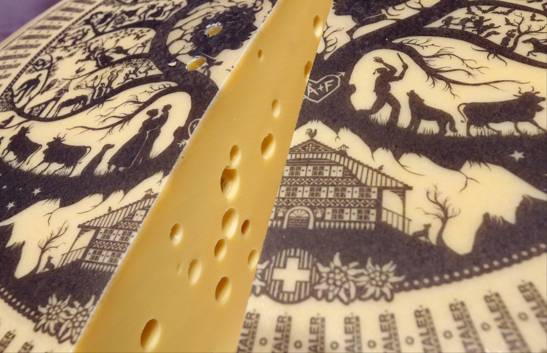 World Championship Cheese Contest